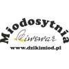 Dziki Miód - Miody Pitne, Naturalne i Produkty Pszczele  Nr 1 na Świecie